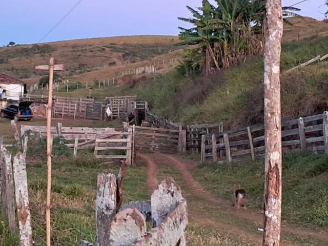 Sítio e chácara venda em Região Geográfica Imediata de Caxambu - Baependi, Serranos