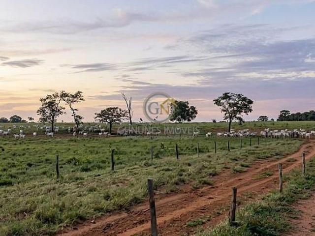 Sítio e chácara venda em Região Geográfica Imediata de Montes Claros, Montes Claros