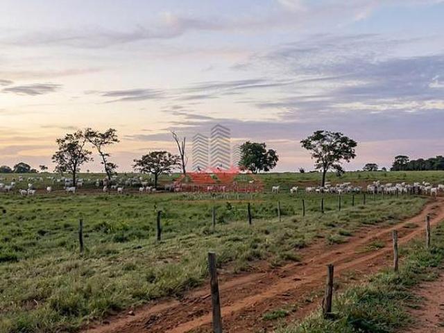 Sítio e chácara venda em Região Geográfica Imediata de Montes Claros, Montes Claros