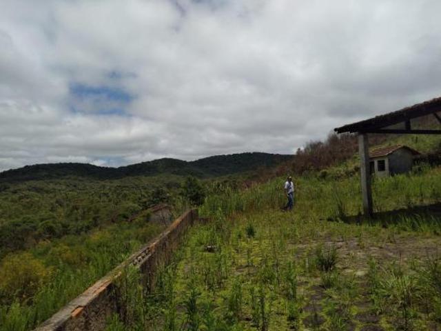 Sítio e chácara venda em Região Imediata de Itapeva, Guapiara