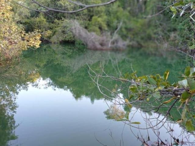 Sítio e chácara venda em Região Geográfica Imediata de Curvelo, Curvelo