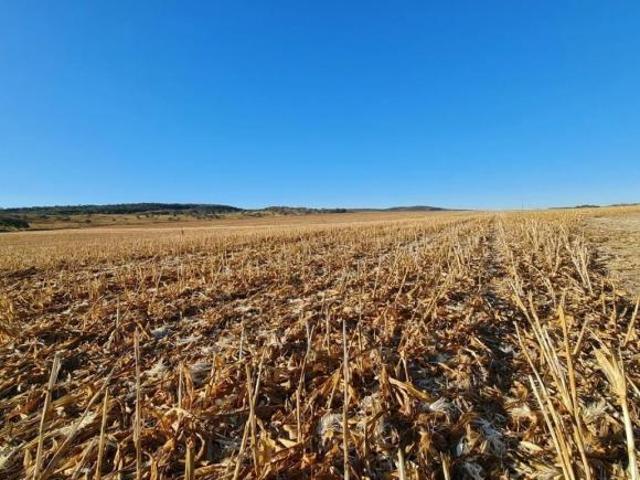 Sítio e chácara venda em Região Geográfica Imediata de Garanhuns, Região Nordeste