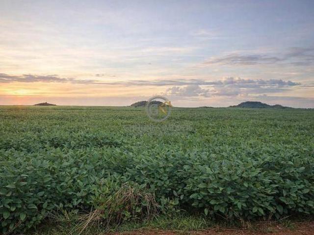 Sítio e chácara venda em Região Geográfica Imediata de Confresa - Vila Rica, Santa Terezinha