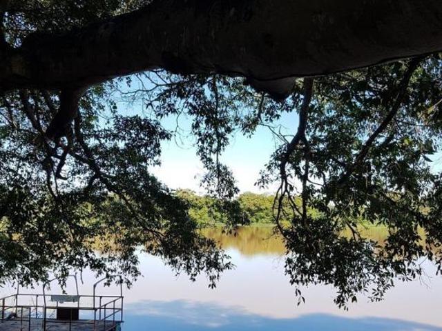 Sítio e chácara venda em Região Geográfica Imediata de Pirapora, Várzea da Palma
