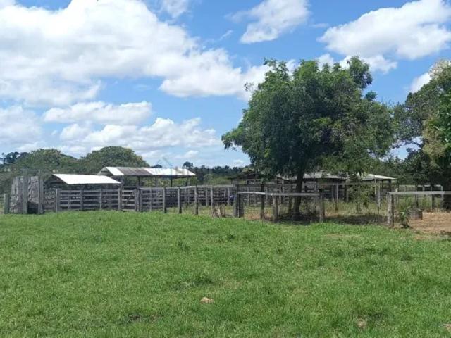 Fazenda venda em Região Imediata de Fernandópolis, Fernandópolis