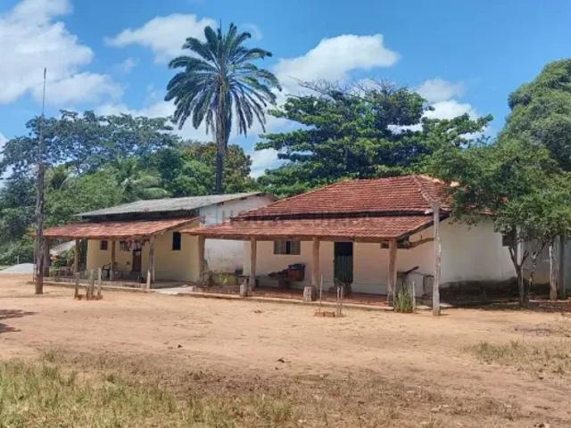 Fazenda venda em Região Imediata de Fernandópolis, Fernandópolis