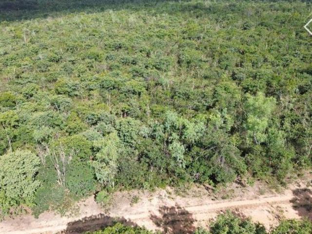 Sítio e chácara venda em Região Geográfica Imediata de Patos de Minas, João Pinheiro