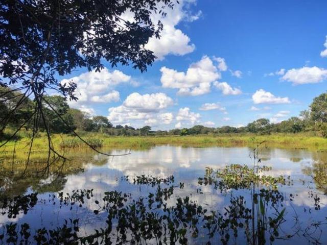 Sítio e chácara venda em Bocaiuva, Região Geográfica Intermediária de Montes Claros