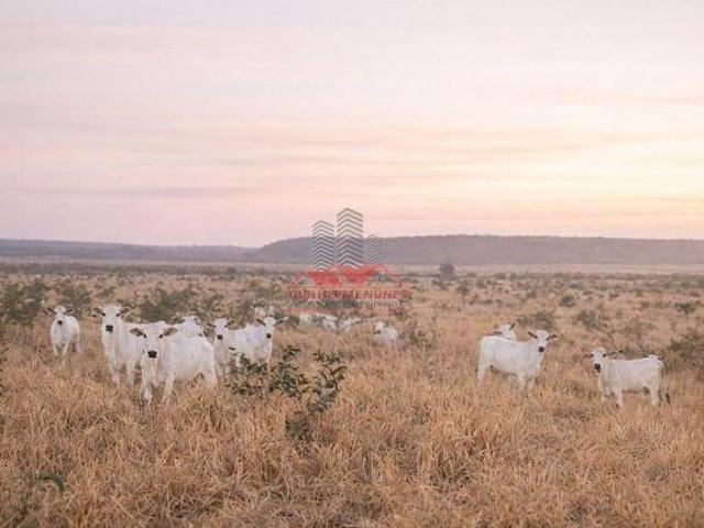 Sítio e chácara venda em Região Geográfica Imediata de Tangará da Serra, Sapezal
