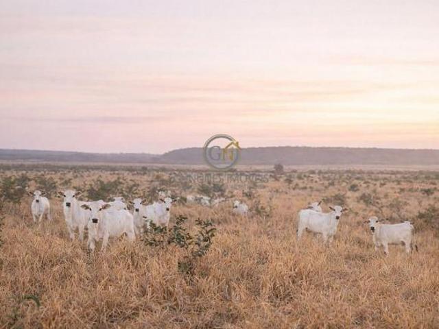 Sítio e chácara venda em Região Geográfica Imediata de Tangará da Serra, Sapezal