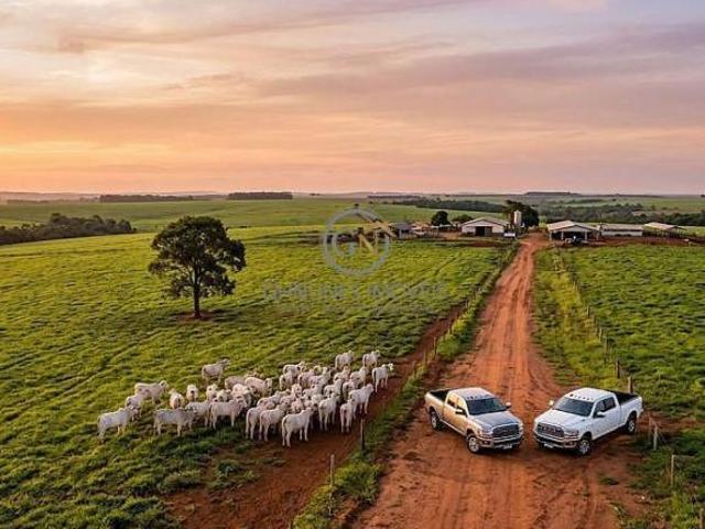 Sítio e chácara venda em Região Geográfica Imediata de Cuiabá, Região Metropolitana do Vale do Rio Cuiabá