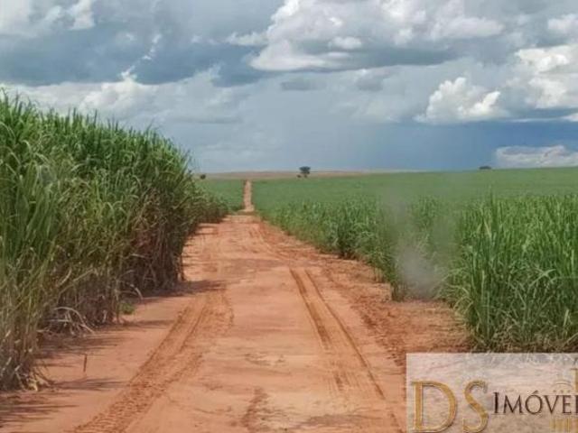 Sítio e chácara venda em Região Imediata de Adamantina-Lucélia, Pacaembu