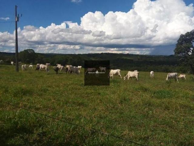 Sítio e chácara venda em Região Geográfica Imediata de Campo Grande, Camapuã