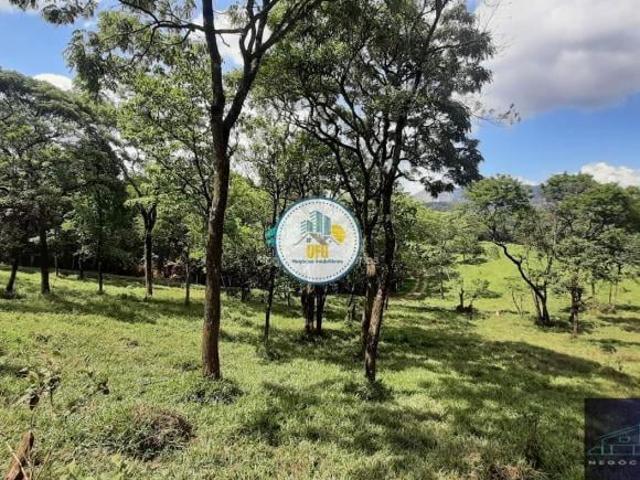 Sítio e chácara venda em Pedra Branca, Caeté