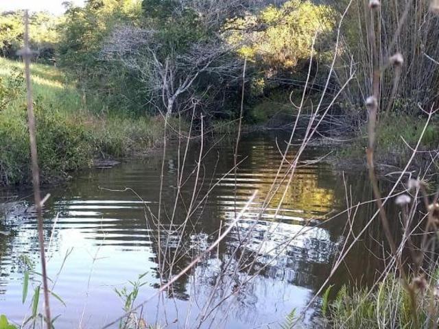 Sítio e chácara venda em Região Geográfica Imediata de Oliveira, Oliveira