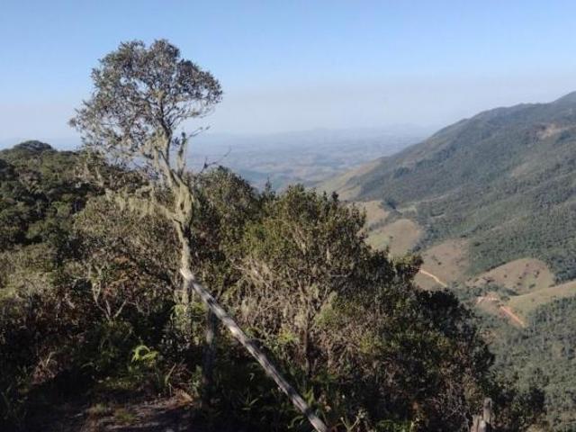 Sítio e chácara venda em Região Imediata de Cruzeiro, Região Metropolitana do Vale do Paraíba e Litoral Norte