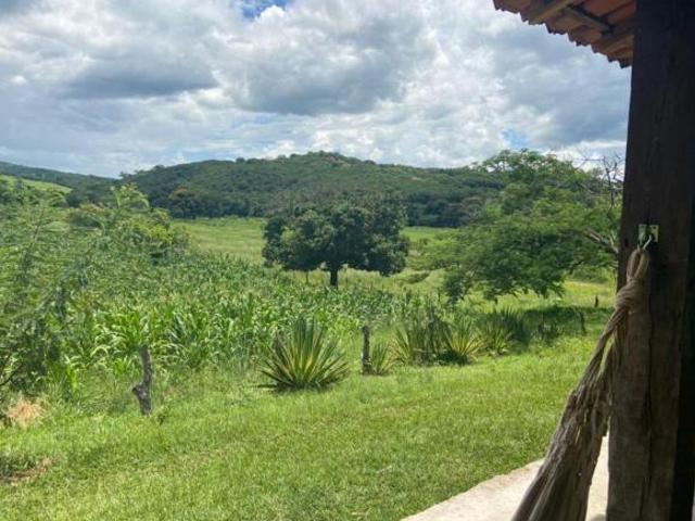 Sítio e chácara venda em Região Geográfica Imediata de Curvelo, Monjolos