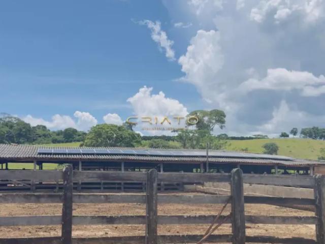 Fazenda venda em Região Geográfica Imediata de Anápolis, Anápolis