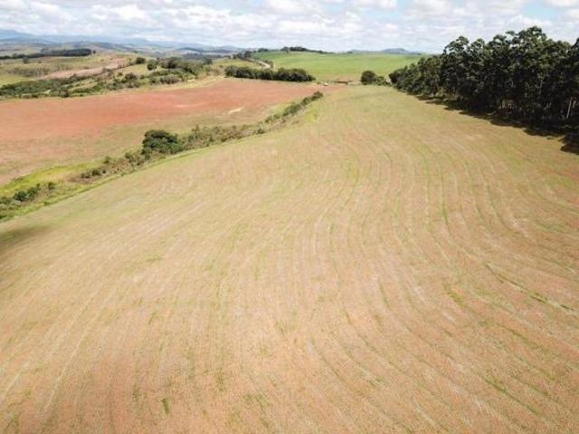 Sítio e chácara venda em Região Geográfica Imediata de Caxambu - Baependi, Cruzília