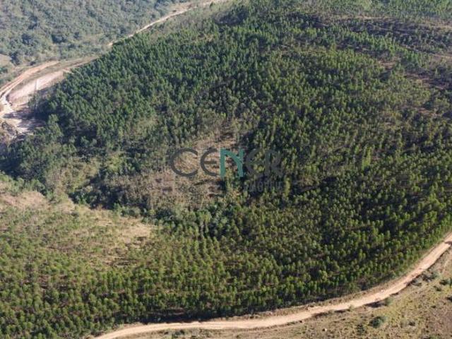Sítio e chácara venda em Região Geográfica Imediata de Sete Lagoas, Região Metropolitana de Belo Horizonte