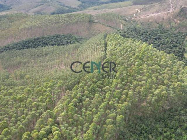Sítio e chácara venda em Região Geográfica Imediata de Juiz de Fora, Lima Duarte