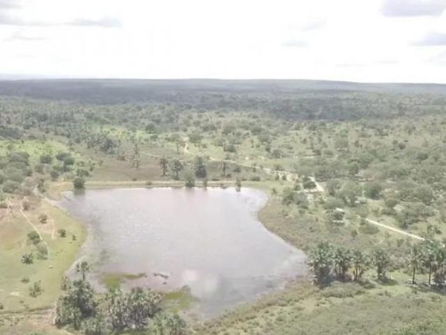 Sítio e chácara venda em Região Geográfica Imediata de Pirapora, Buritizeiro