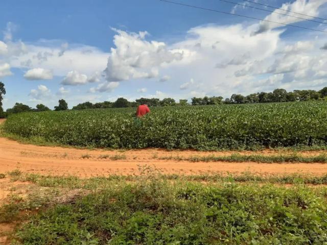 Fazenda venda em Região Geográfica Imediata de Guaraí, Santa Maria do Tocantins
