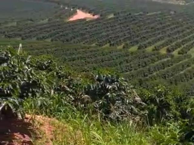 Sítio e chácara venda em Botelhos, Região Geográfica Intermediária de Pouso Alegre