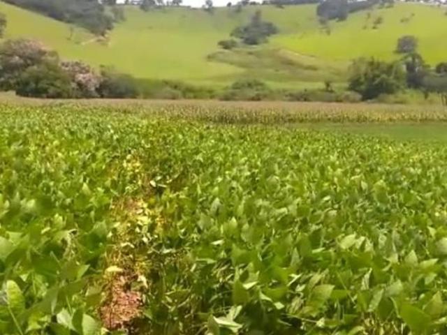 Sítio e chácara venda em Região Geográfica Imediata de Alfenas, Divisa Nova