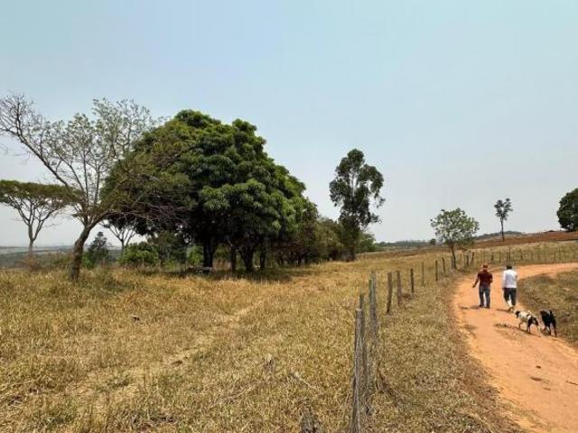 Sítio e chácara venda em Região Geográfica Imediata de Oliveira, Passa Tempo
