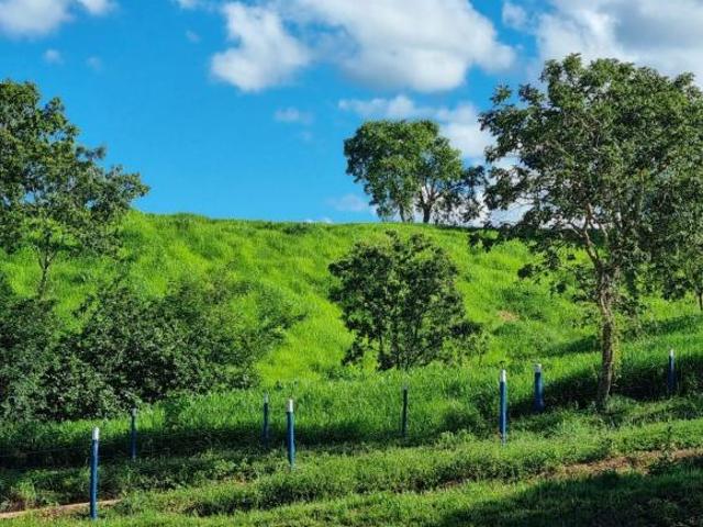 Sítio e chácara venda em Região Geográfica Imediata de Águas Lindas de Goiás, Região Integrada de Desenvolvimento do Distrito Federal e Entorno