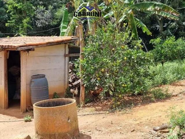 Sítio e chácara venda em Região Geográfica Imediata de Oliveira, Passa Tempo