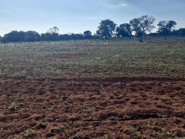 Sítio e chácara venda em Região Geográfica Imediata de Campo Grande, Campo Grande