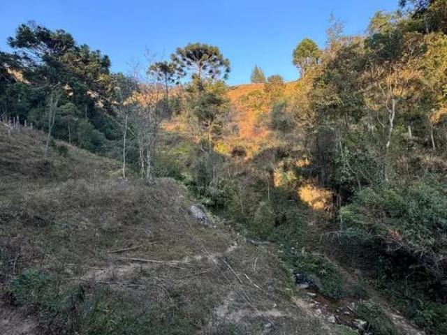 Sítio e chácara venda em Região Geográfica Imediata de Itajubá, Delfim Moreira