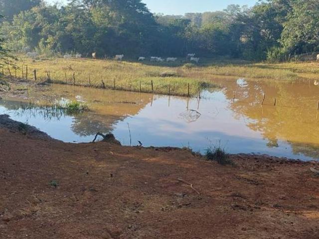 Sítio e chácara venda em Região Geográfica Imediata de Curvelo, Curvelo