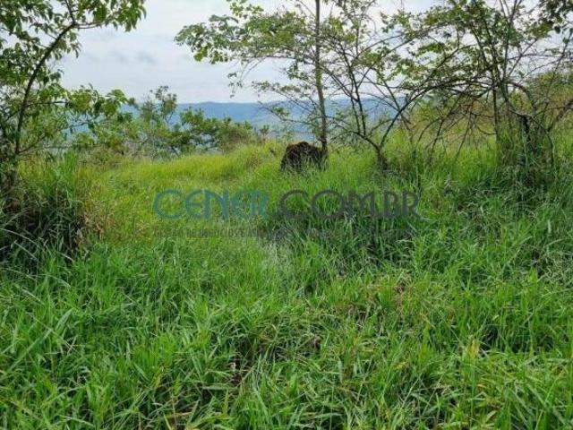 Sítio e chácara venda em Santo Antônio do Amparo, Região Geográfica Intermediária de Varginha