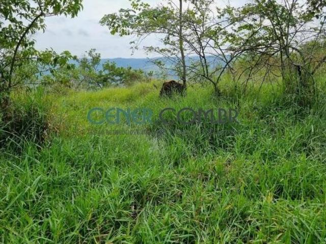 Sítio e chácara venda em Região Geográfica Imediata de Lavras, Santo Antônio do Amparo