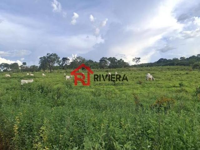 Sítio e chácara venda em Vila Nova, Curvelo