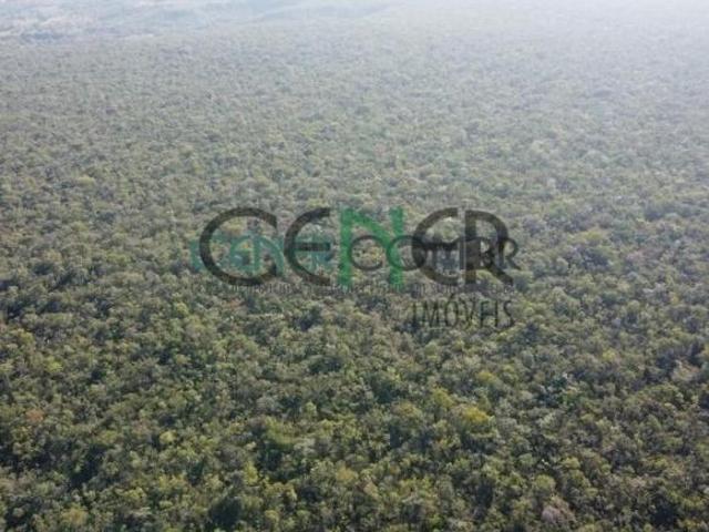 Sítio e chácara venda em Região Geográfica Imediata de Montes Claros, São João da Lagoa