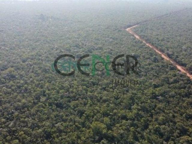 Sítio e chácara venda em São João da Lagoa, Região Geográfica Intermediária de Montes Claros