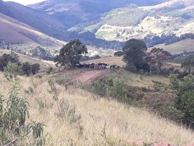 Sítio e chácara venda em Região Geográfica Imediata de Curvelo, Buenópolis