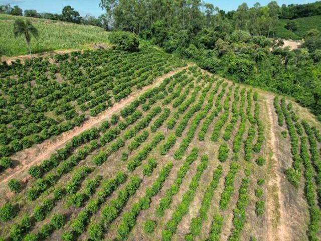 Sítio e chácara venda em Região Imediata de São José do Rio Pardo-Mococa, Caconde