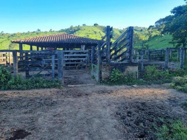 Sítio e chácara venda em Região Geográfica Imediata de Governador Valadares, Governador Valadares