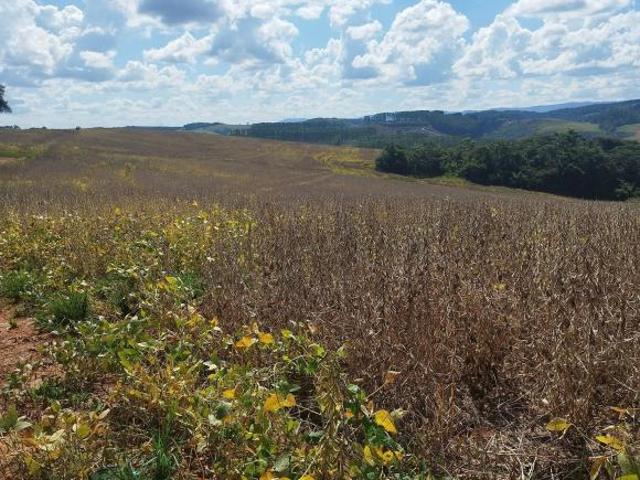 Sítio e chácara venda em Região Geográfica Imediata de Caxambu - Baependi, Cruzília