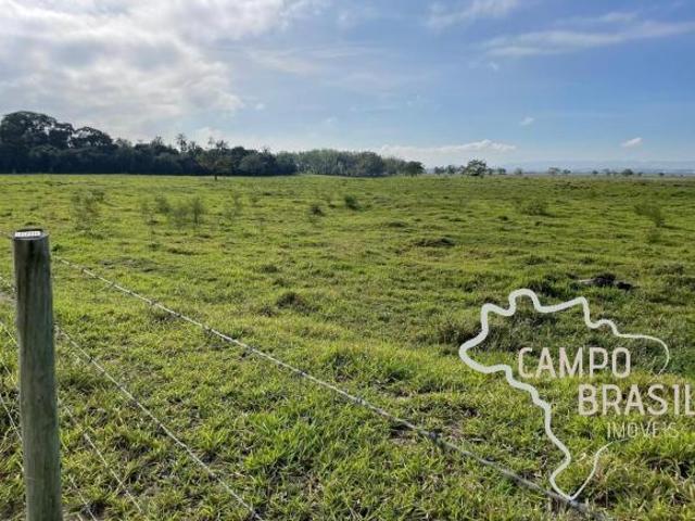 Sítio e chácara venda em Região Imediata de São José dos Campos, Região Metropolitana do Vale do Paraíba e Litoral Norte