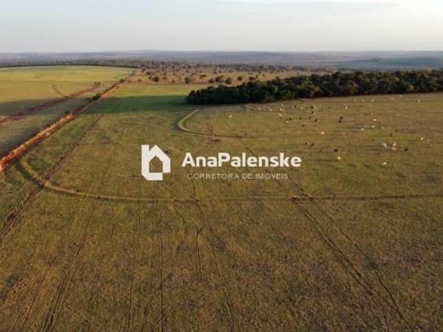 Sítio e chácara venda em Região Geográfica Imediata de Coxim, Costa Rica