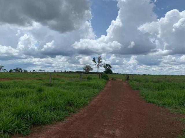 Sítio e chácara venda em Região Geográfica Imediata de Barra do Garças, Novo São Joaquim