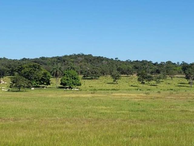 Sítio e chácara venda em Região Geográfica Imediata de Sete Lagoas, Santana de Pirapama