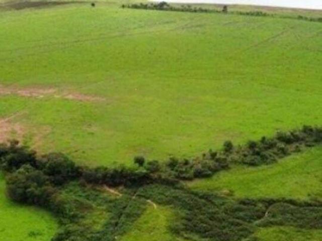 Sítio e chácara venda em Região Geográfica Imediata de Abaeté, Morada Nova de Minas