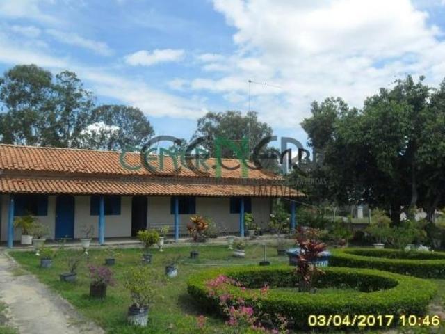 Sítio e chácara venda em Região Geográfica Imediata de Montes Claros, São João da Lagoa